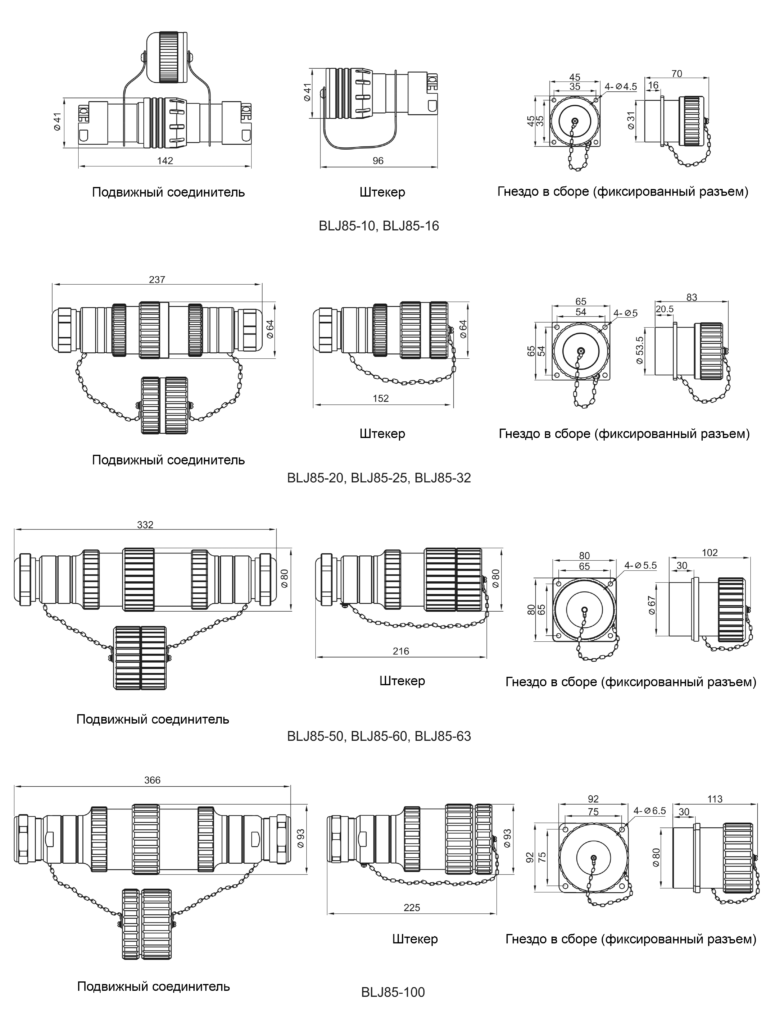 BLJ85-06